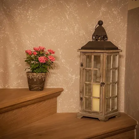 毛特纳可晨沃特宾馆 宾馆 3*