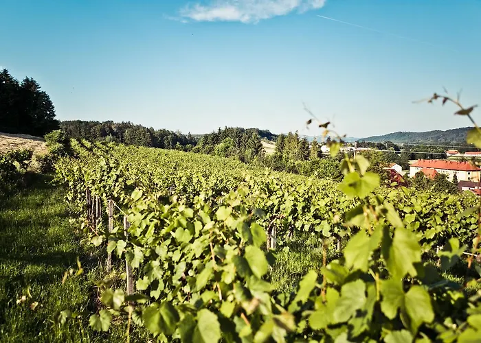 Mauthner Zum Kirchenwirt Gasthof