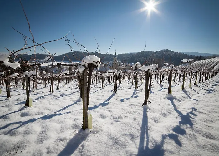 Mauthner Zum Kirchenwirt Gasthof